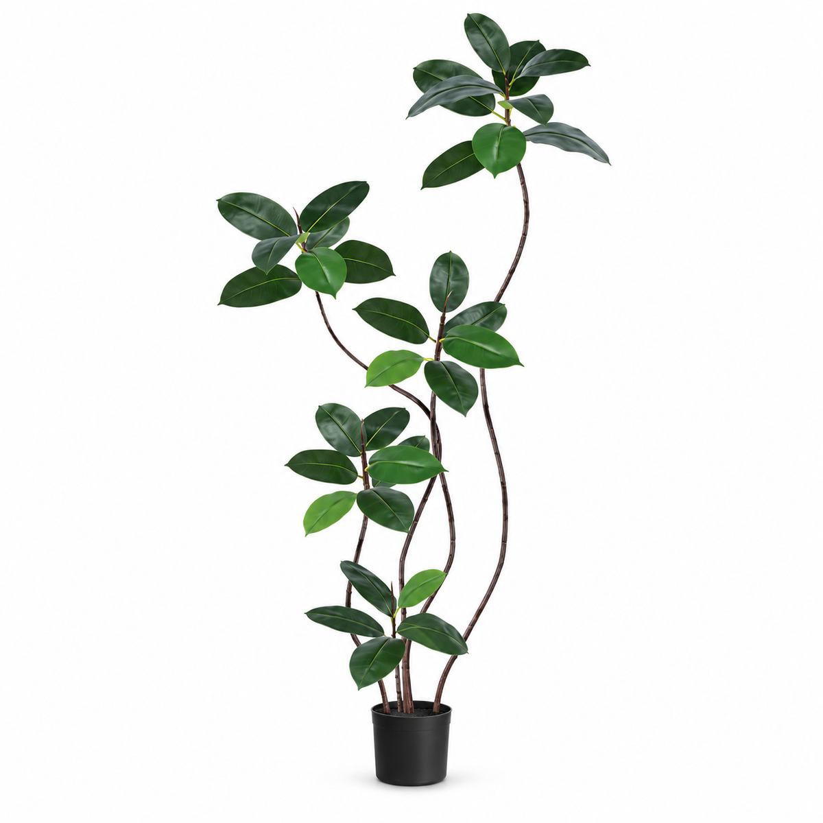Artificial Rubber Tree 200 cm
