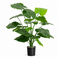 Artificial Alocasia 70 cm