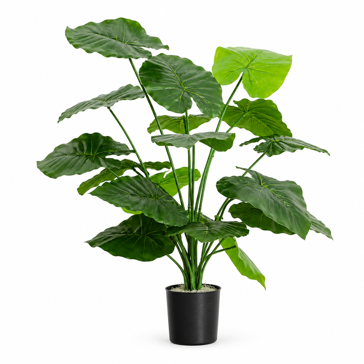 Artificial Alocasia 70 cm