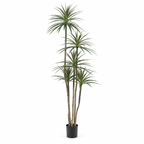 Artificial Dracaena 180 cm · 5 stems