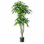 Artificial Money Tree 170 cm