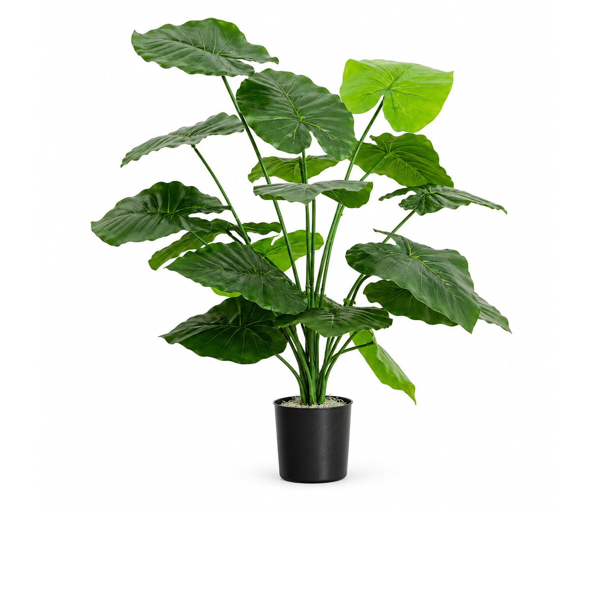 Artificial Alocasia 70 cm