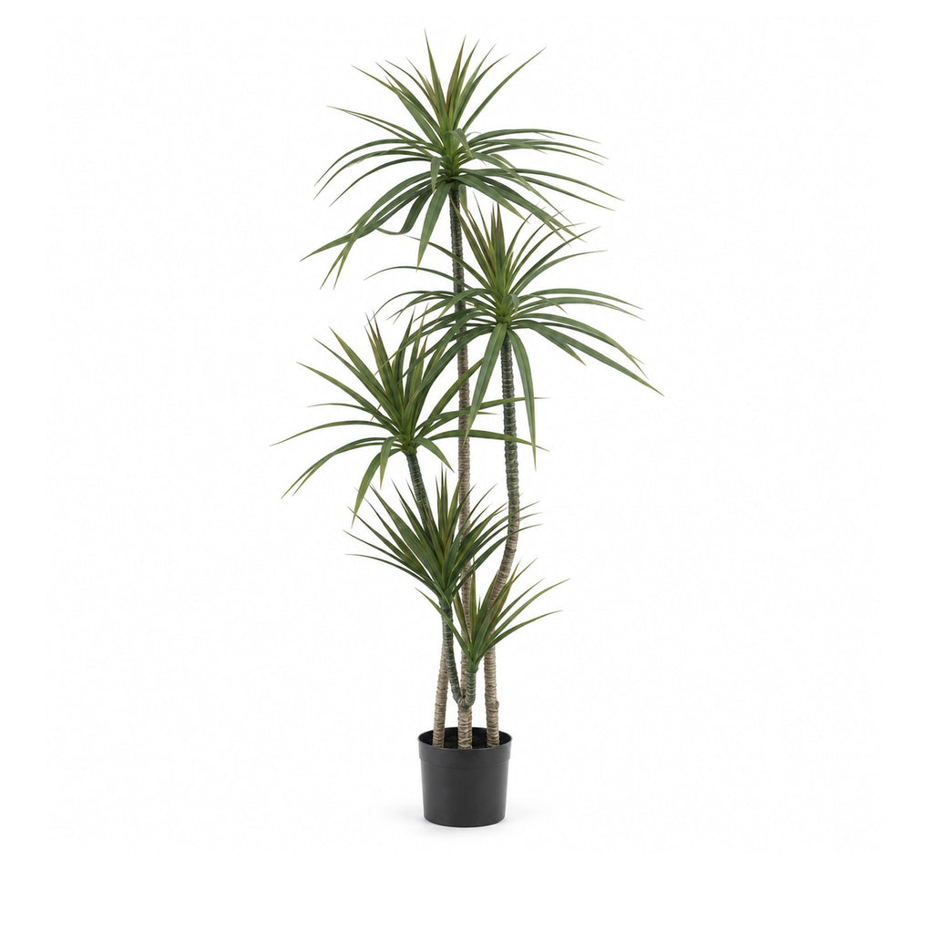 Artificial Dracaena 150 cm