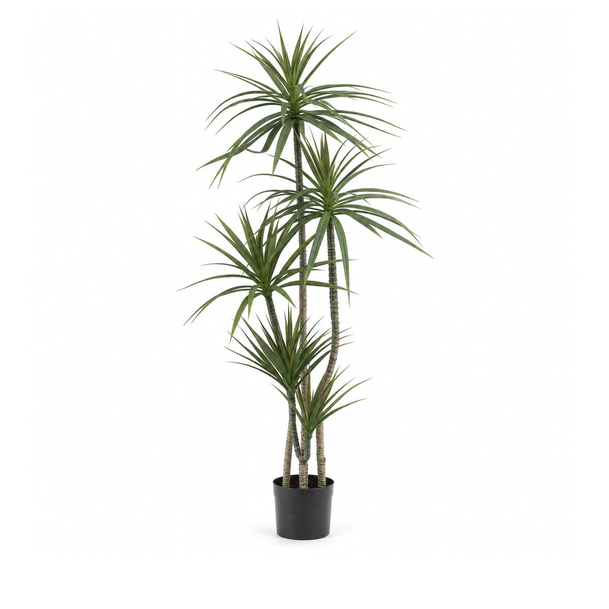 Artificial Dracaena 150 cm