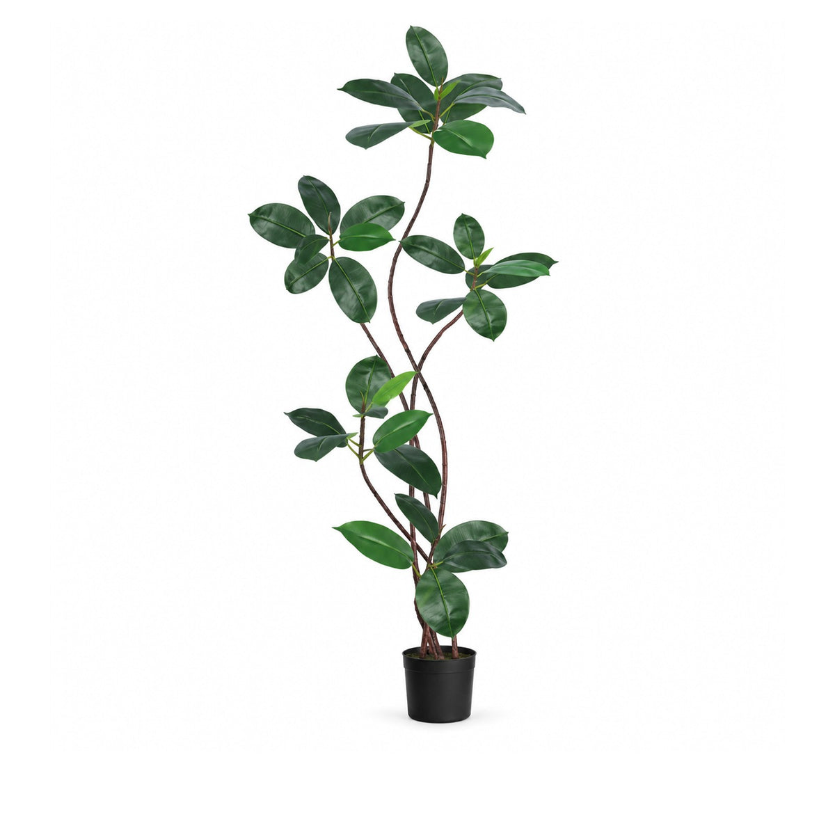 Artificial Rubber Tree 180 cm