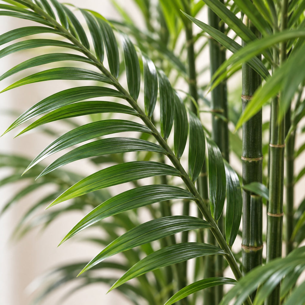 Artificial Areca Palm, close-up of the leaves