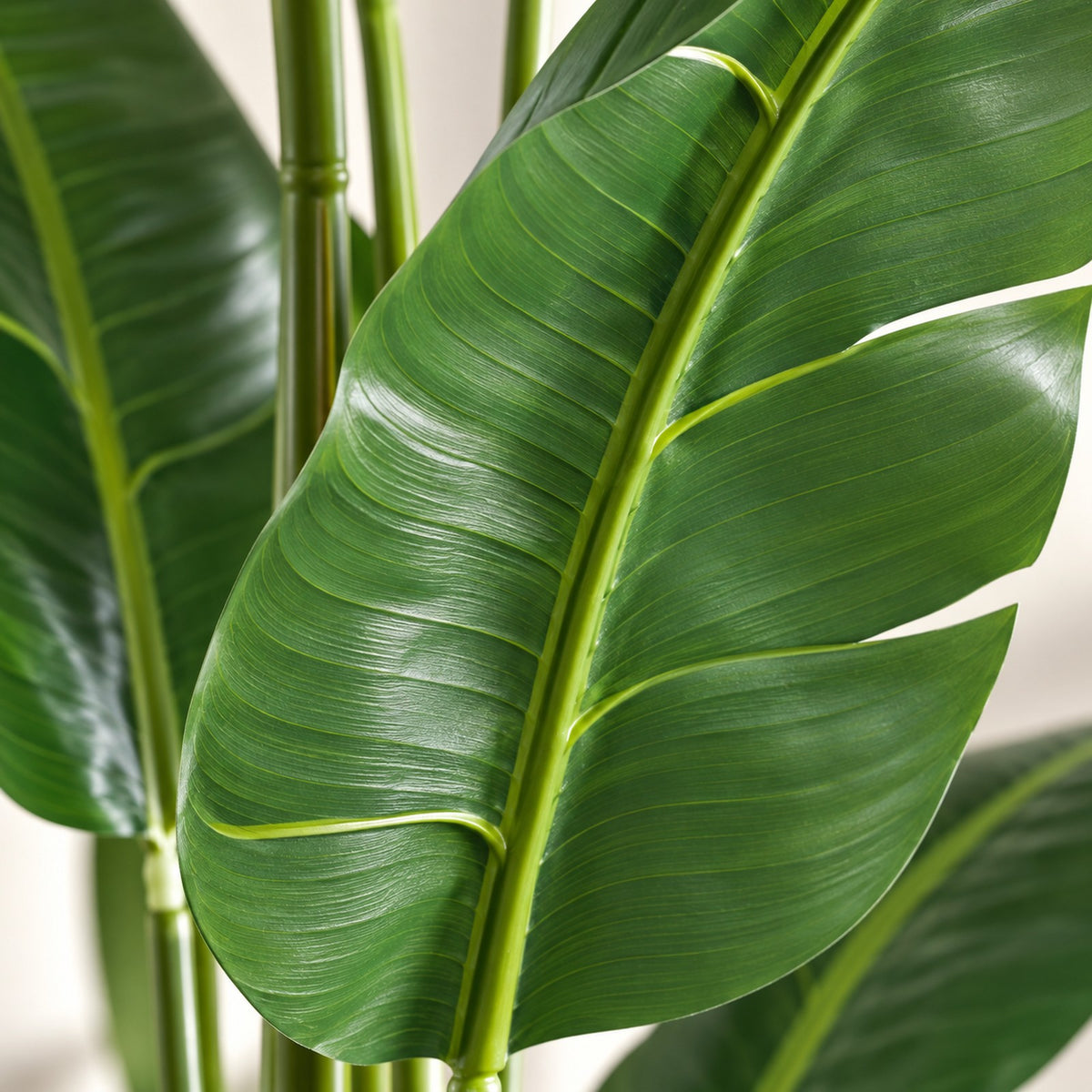 Artificial Bird of Paradise, close-up of the leaves