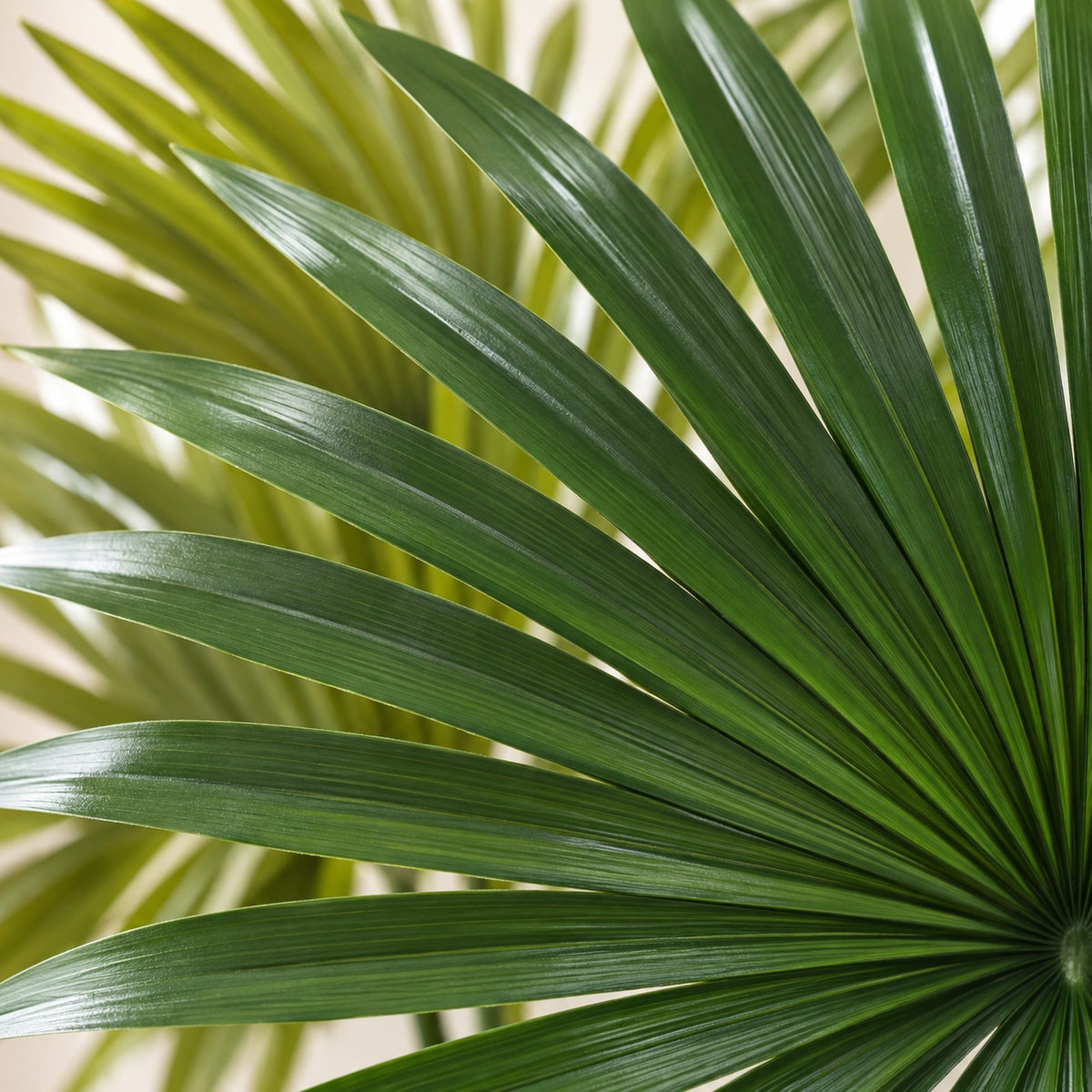 Artificial Fan Palm, close-up of the leaves