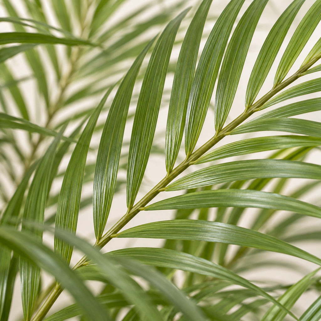 Artificial Kentia Palm, close-up of the leaves