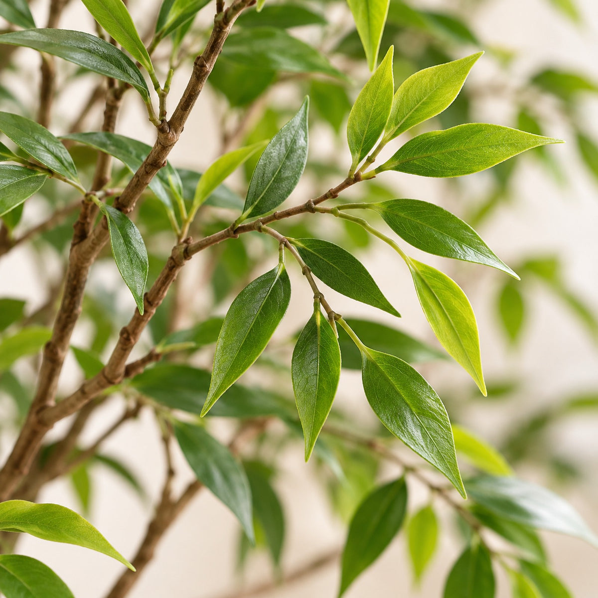 Artificial Nandina Tree, close-up of the leaves and branches