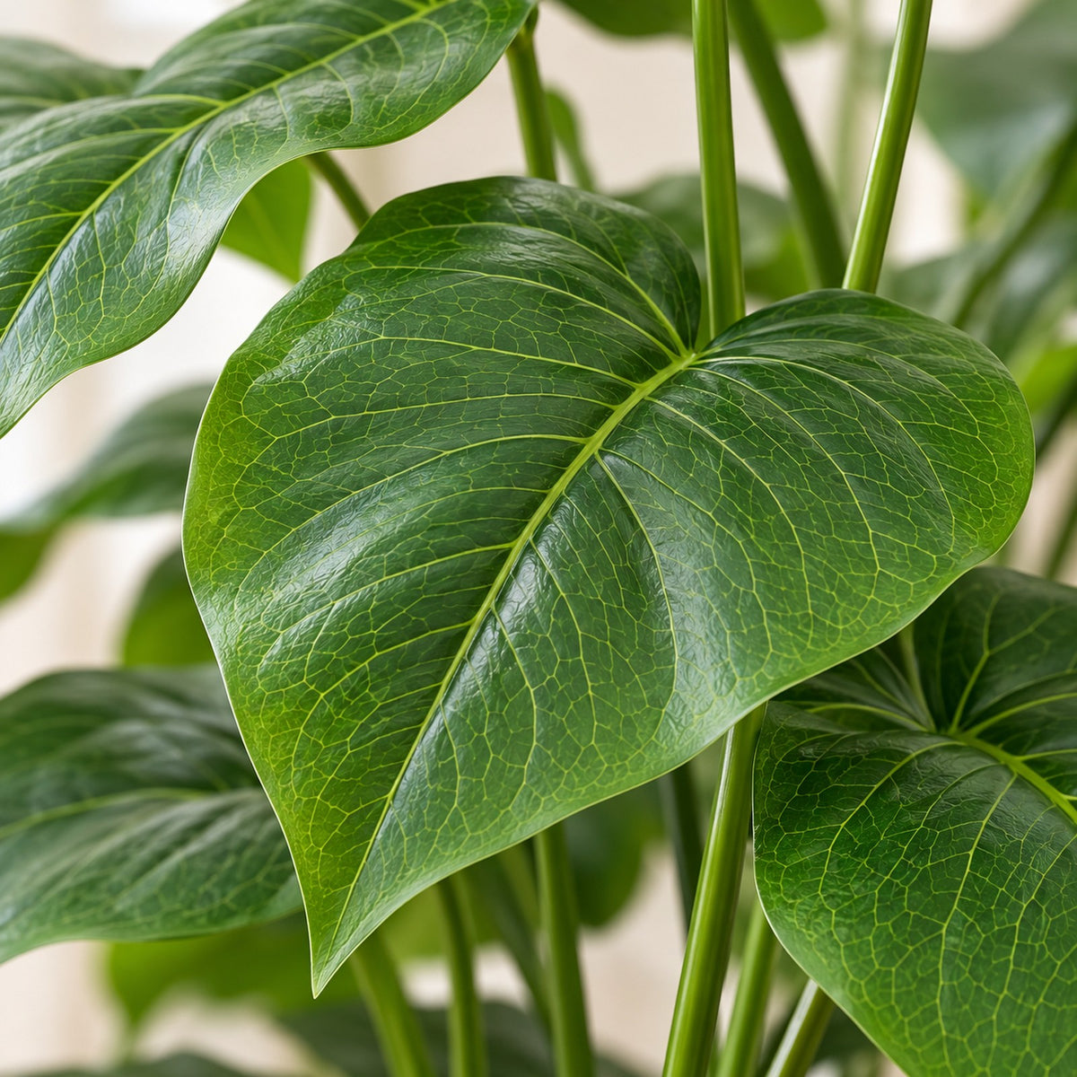 Artificial Pothos Plant, close-up of the leaves