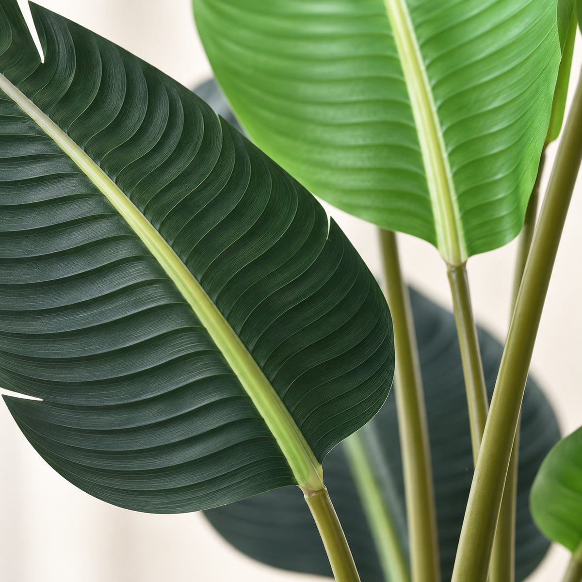 Artificial Traveller's Palm, close-up of the leaves