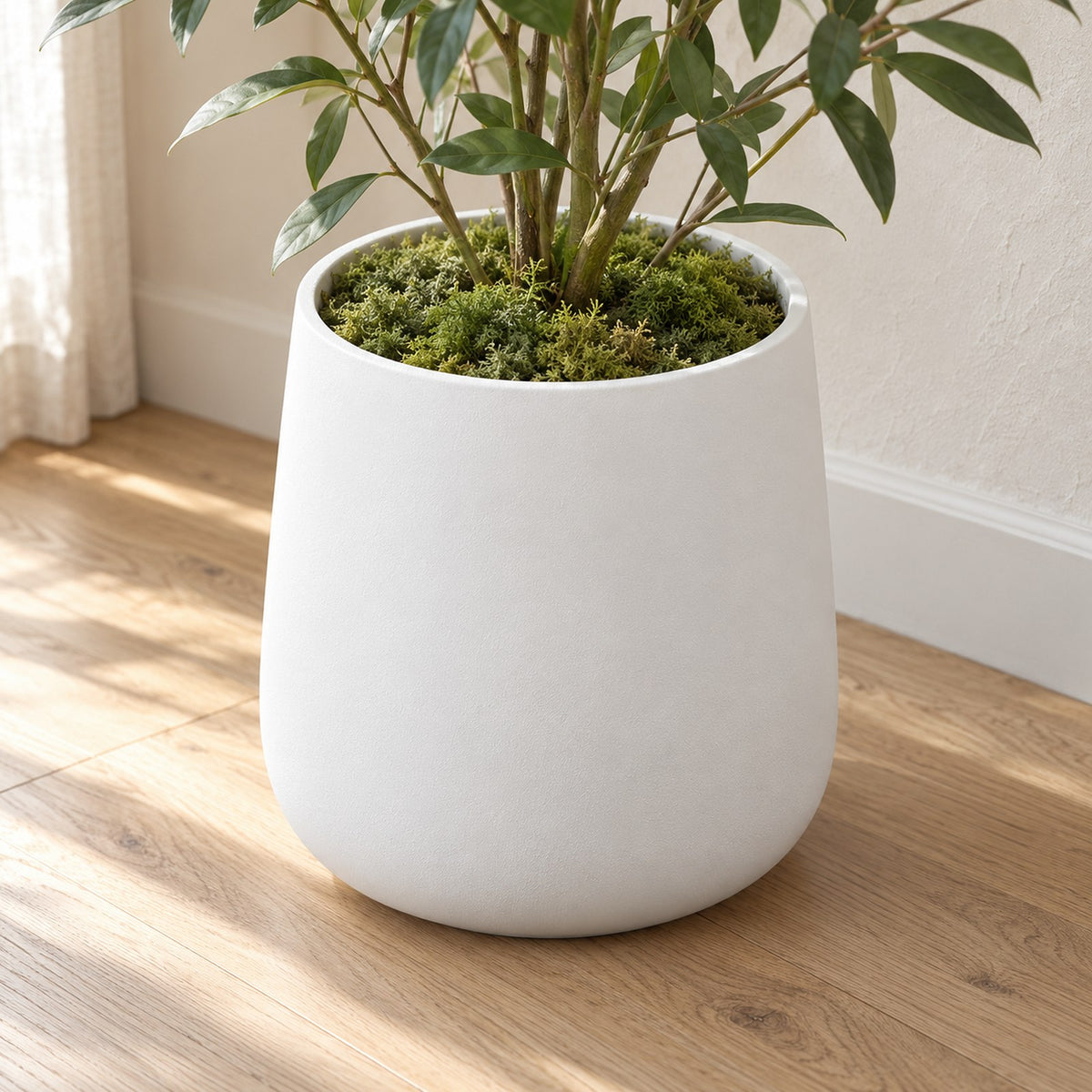 Preserved Forest Moss covering the top of a white planter with a plant