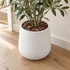 Pine Bark Chips covering the top of a white planter with a plant