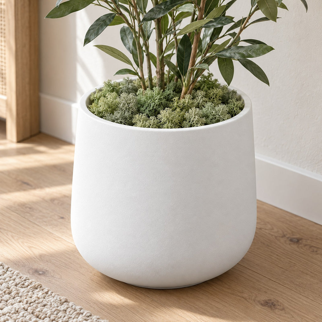 Preserved Reindeer Moss covering the top of a white planter with a plant
