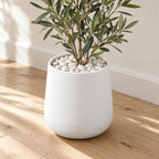 White Pebbles covering the top of a white planter with a plant
