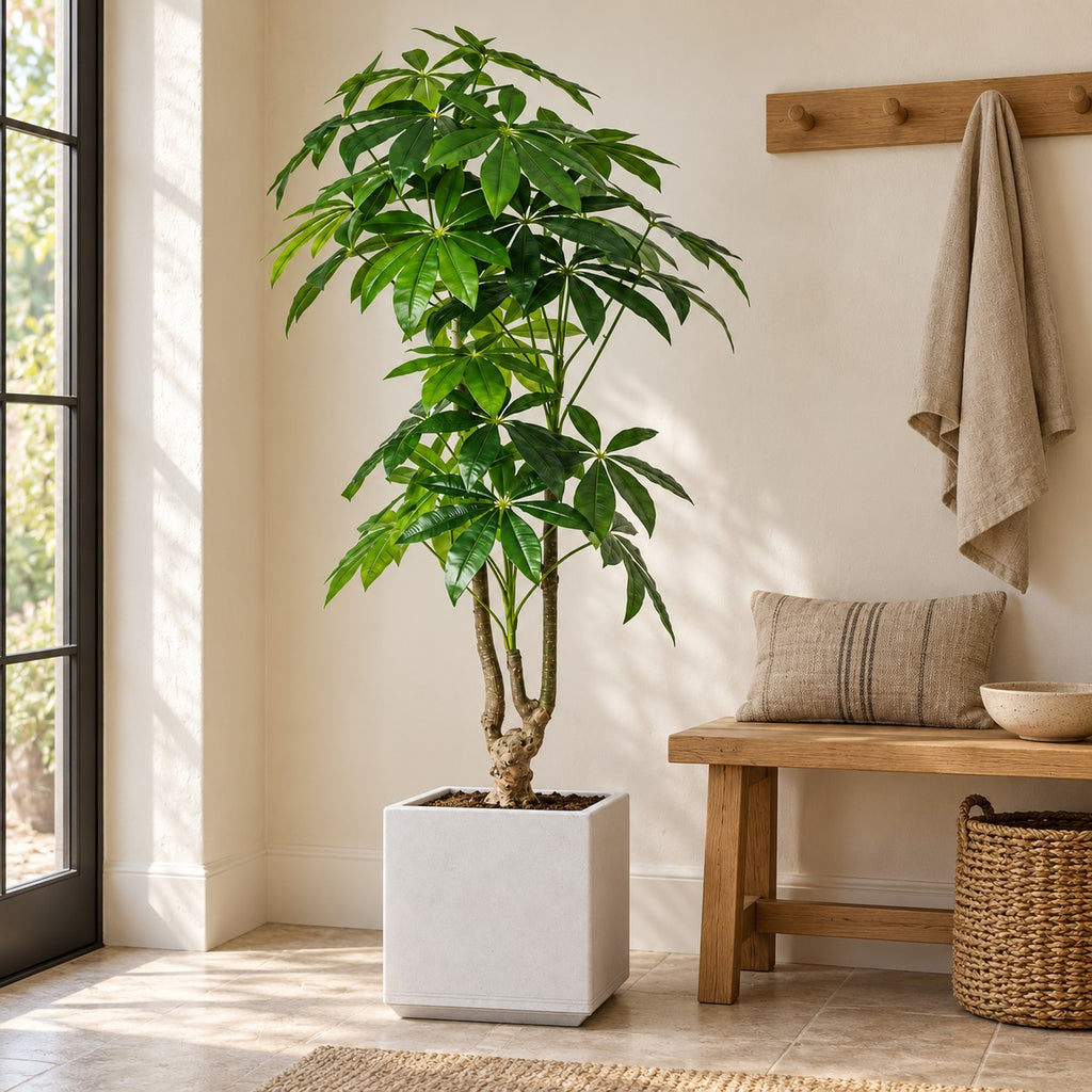 Artificial Money Tree in a white square planter, styled in a real home