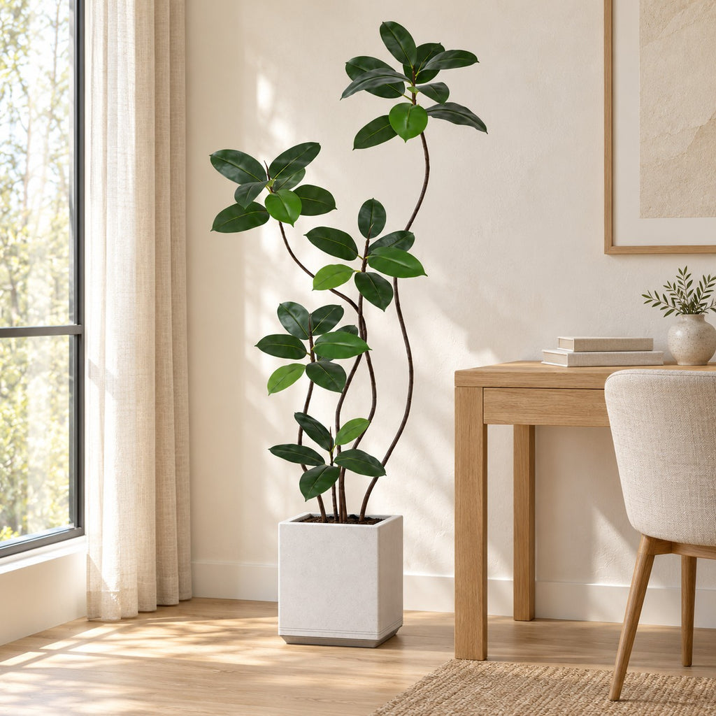 Artificial Rubber Tree in a white square planter, styled in a real home